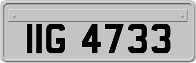 IIG4733