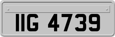 IIG4739