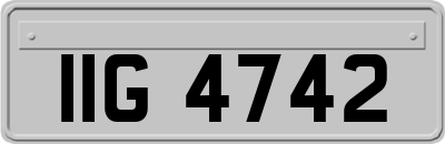 IIG4742