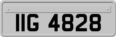 IIG4828