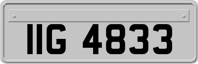 IIG4833
