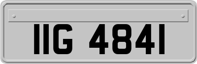 IIG4841