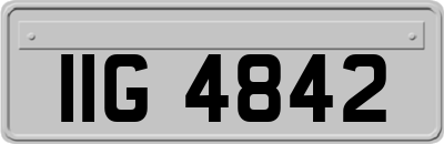 IIG4842
