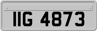 IIG4873