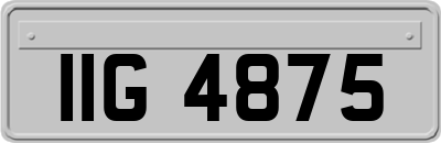 IIG4875