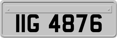 IIG4876