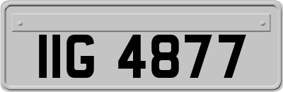 IIG4877