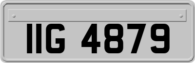 IIG4879