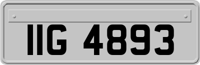IIG4893