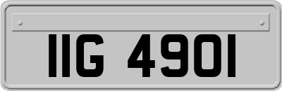 IIG4901
