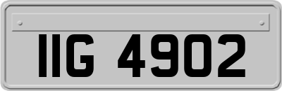 IIG4902