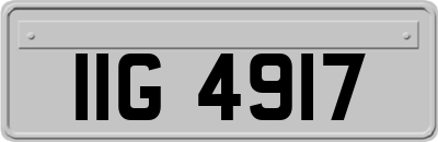 IIG4917