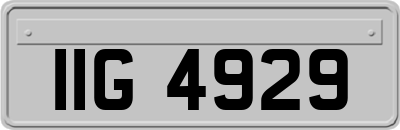IIG4929