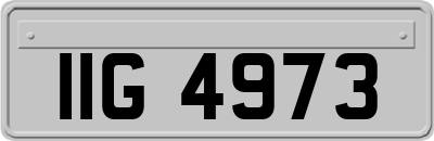 IIG4973