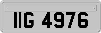IIG4976