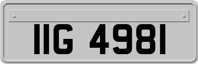 IIG4981