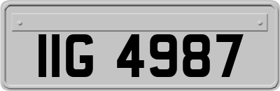 IIG4987