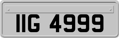 IIG4999