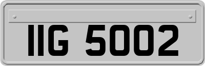 IIG5002