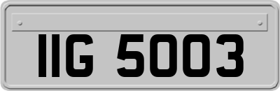IIG5003
