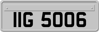IIG5006