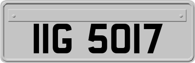 IIG5017
