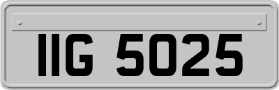 IIG5025