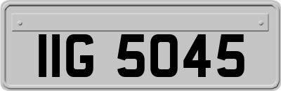 IIG5045
