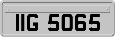 IIG5065