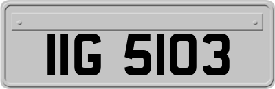 IIG5103
