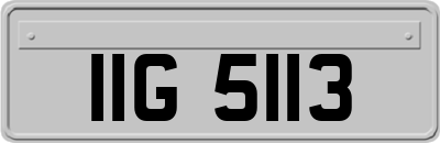 IIG5113