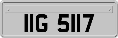 IIG5117