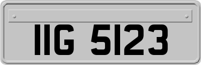 IIG5123