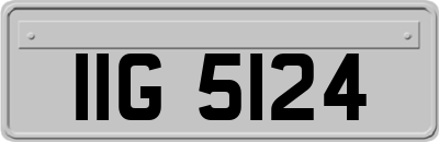 IIG5124
