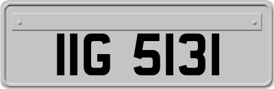 IIG5131