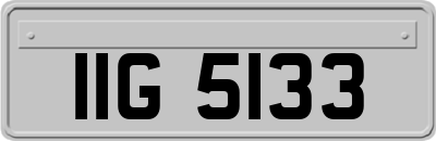 IIG5133