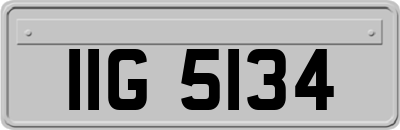 IIG5134