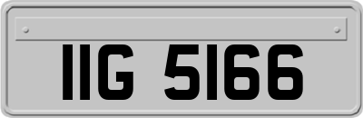 IIG5166