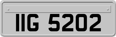 IIG5202