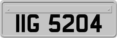 IIG5204