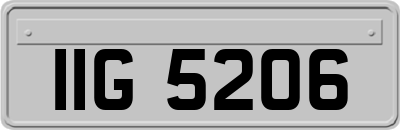 IIG5206