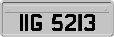 IIG5213