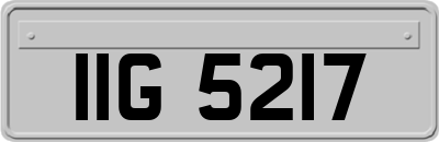 IIG5217