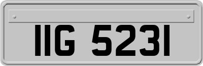 IIG5231