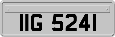 IIG5241