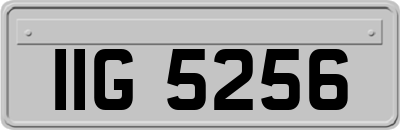 IIG5256
