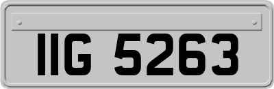 IIG5263
