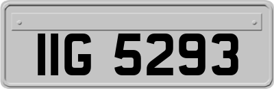 IIG5293