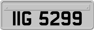 IIG5299