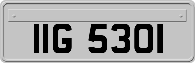 IIG5301